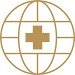 Logo with a cross and globe, likely representing a medical or humanitarian organization. Promedour™ Favicon